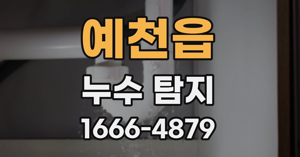 예천읍 누수 탐지