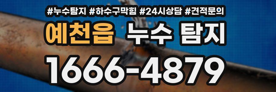 예천읍 누수 탐지