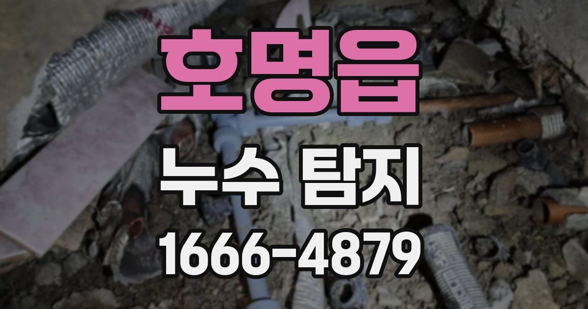 호명읍 누수 탐지