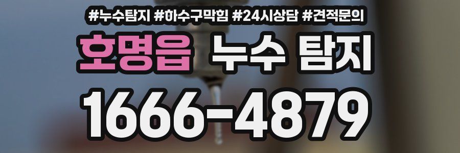 호명읍 누수 탐지