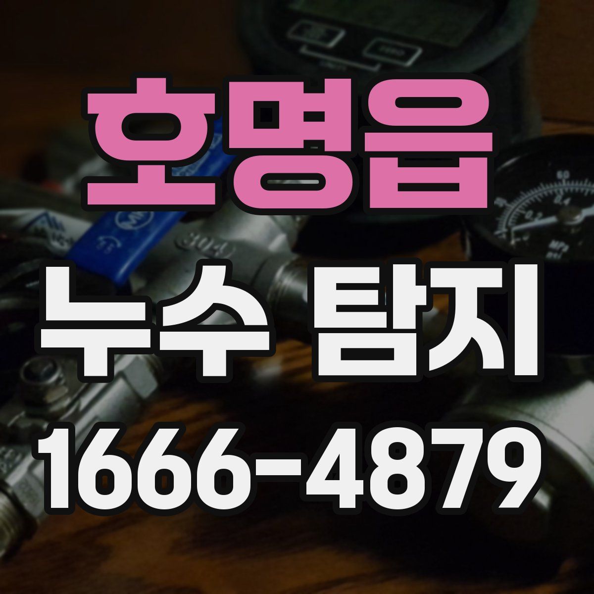 호명읍 누수 탐지