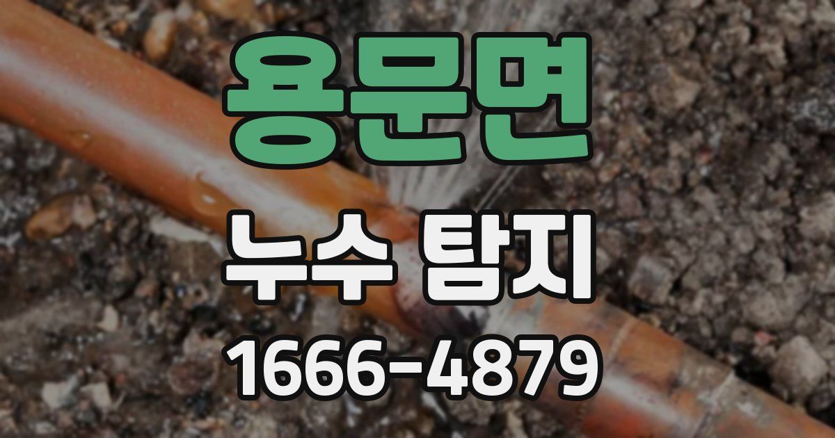 용문면 누수 탐지