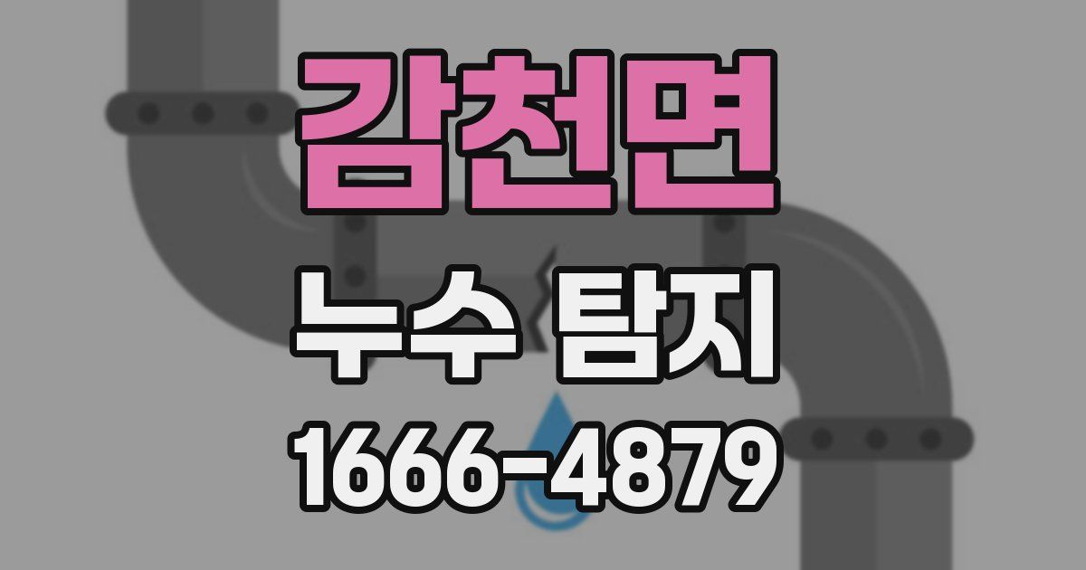 감천면 누수 탐지