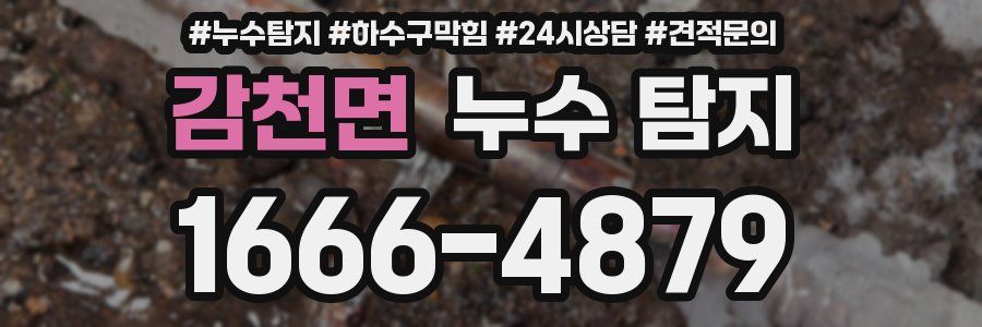감천면 누수 탐지