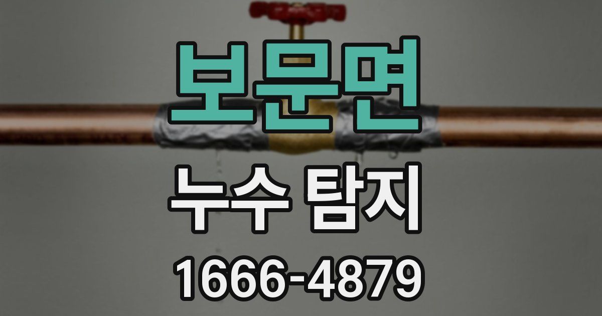 보문면 누수 탐지