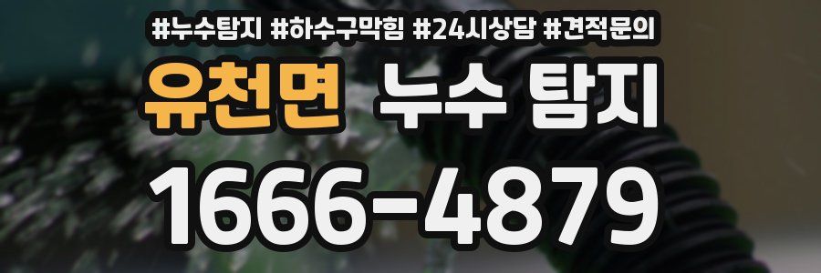 유천면 누수 탐지