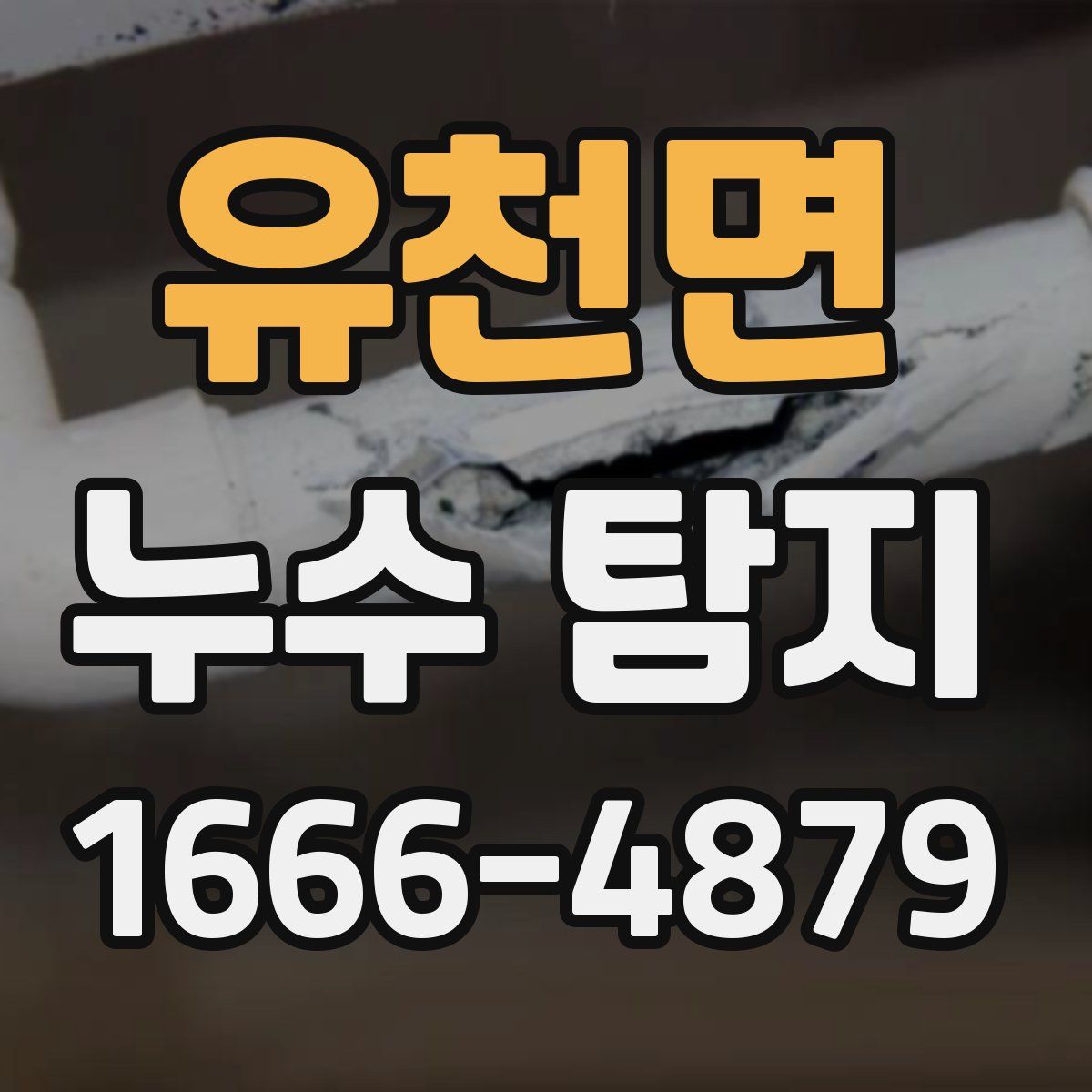 유천면 누수 탐지
