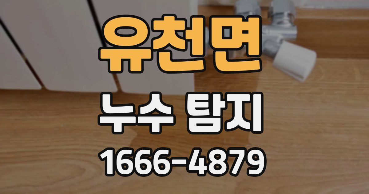 유천면 누수 탐지