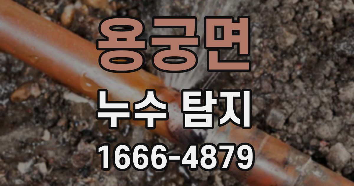 용궁면 누수 탐지