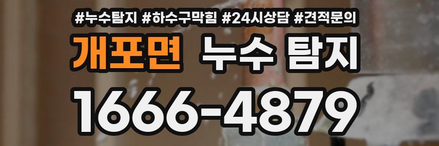 개포면 누수 탐지