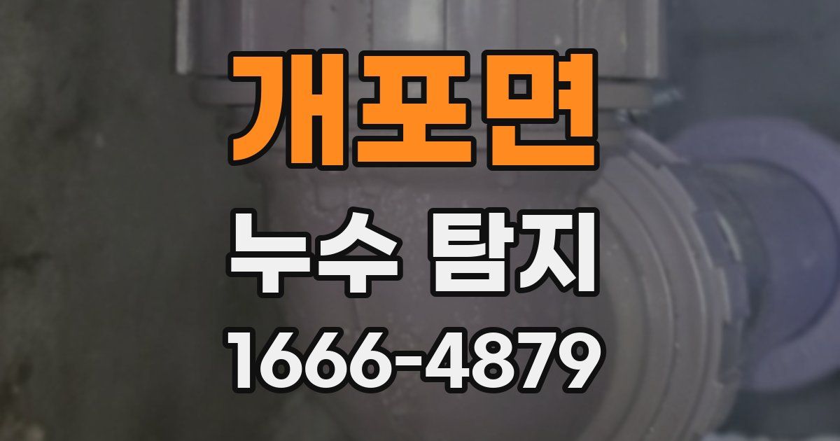 개포면 누수 탐지