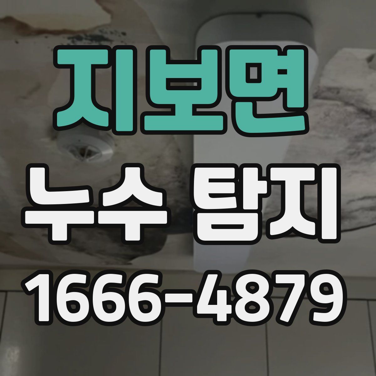 지보면 누수 탐지