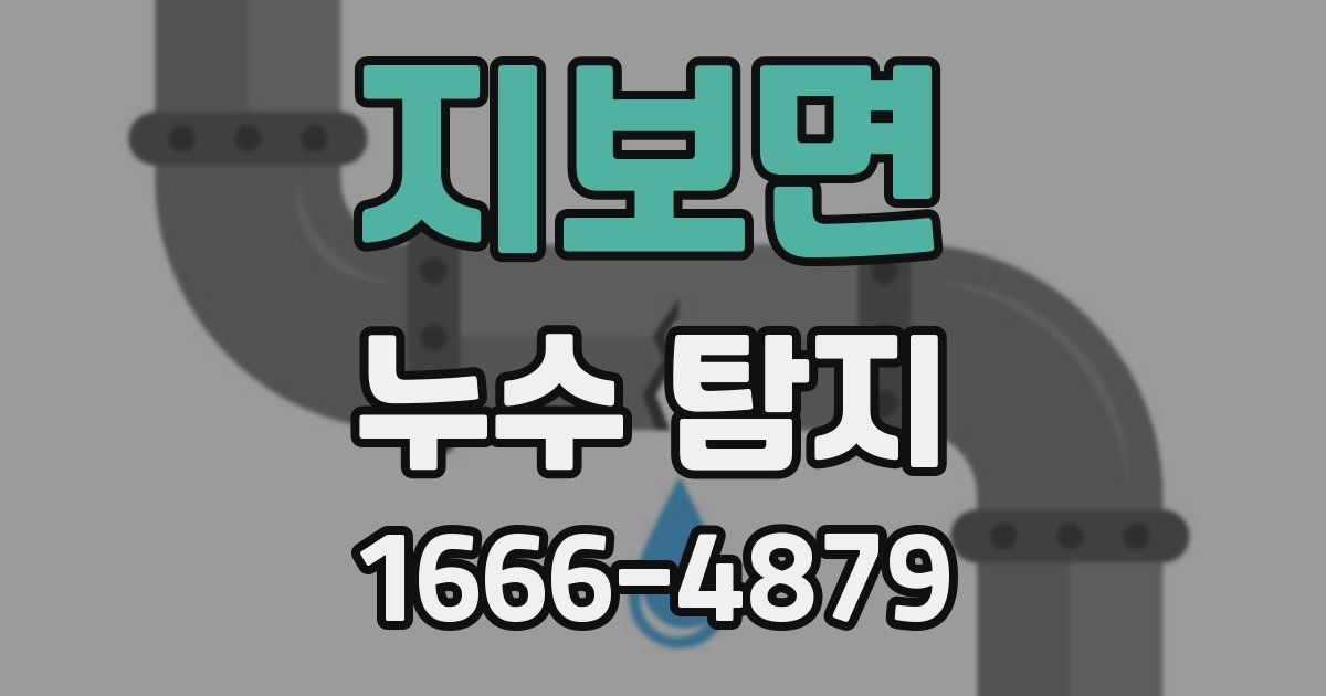 지보면 누수 탐지