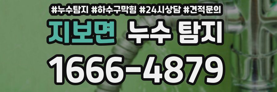 지보면 누수 탐지