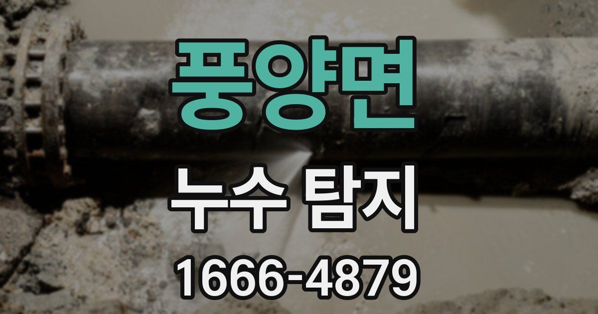 풍양면 누수 탐지