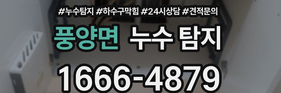 풍양면 누수 탐지