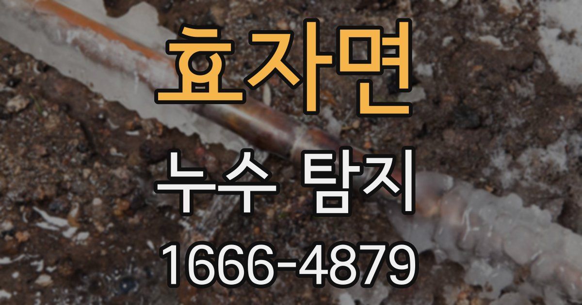 효자면 누수 탐지