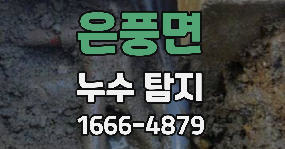 은풍면 누수 탐지