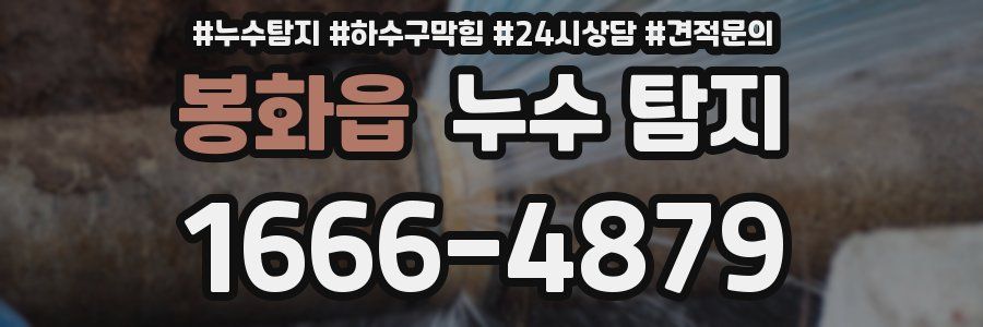 봉화읍 누수 탐지