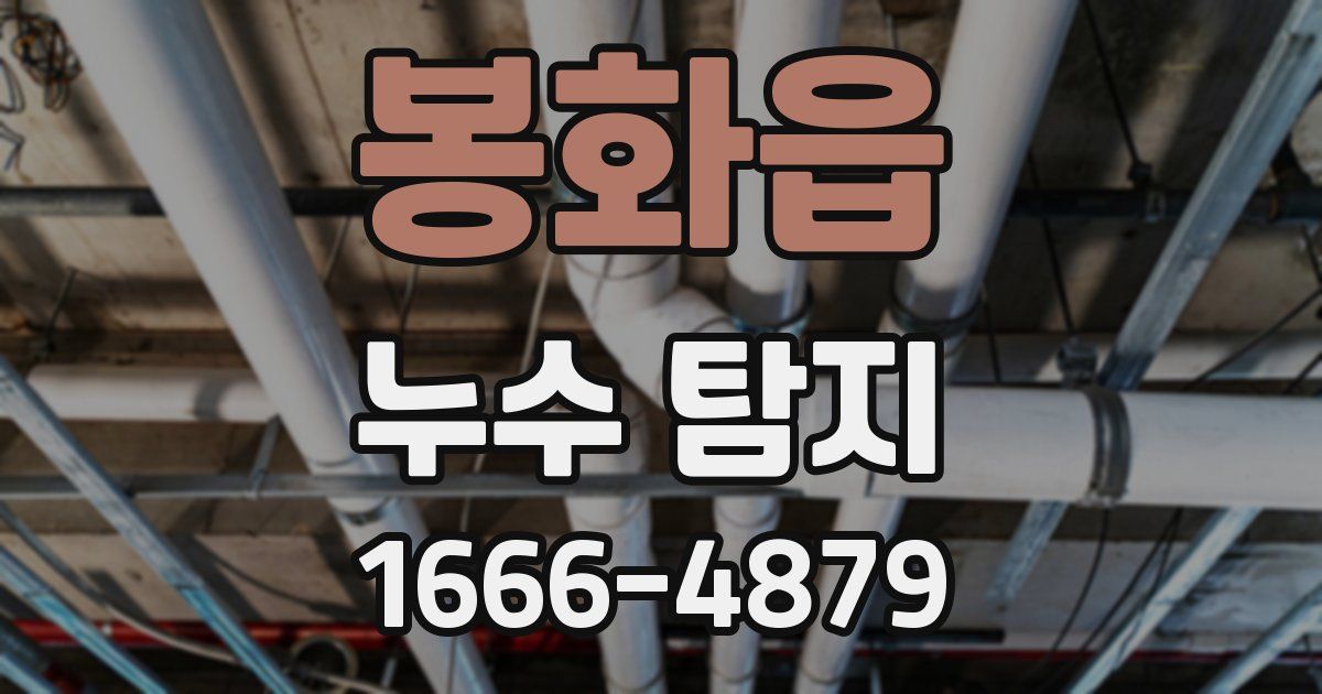 봉화읍 누수 탐지