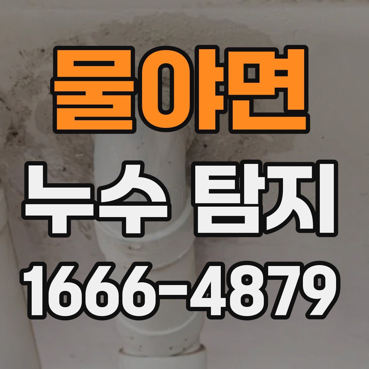 물야면 누수 탐지