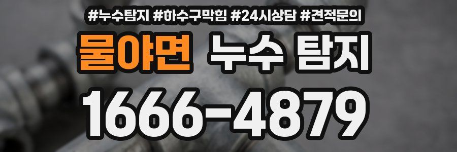 물야면 누수 탐지