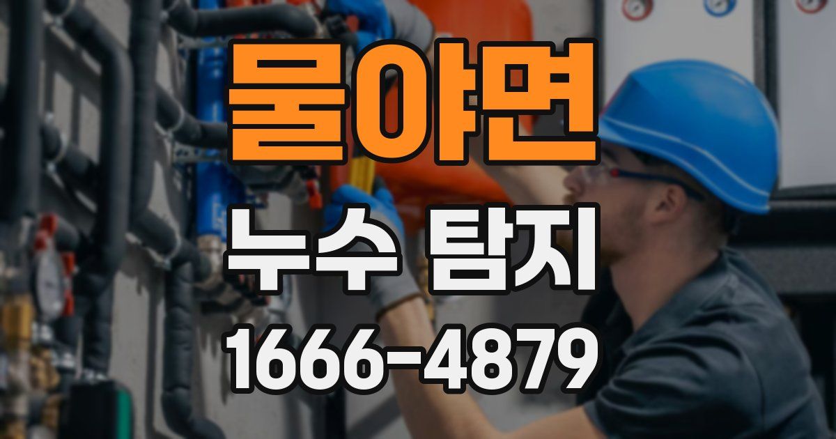물야면 누수 탐지