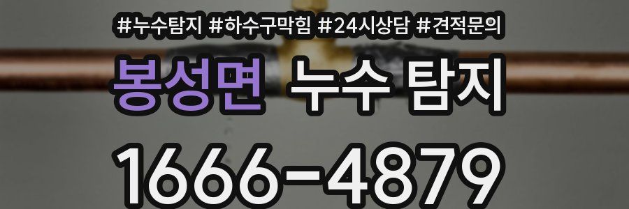 봉성면 누수 탐지