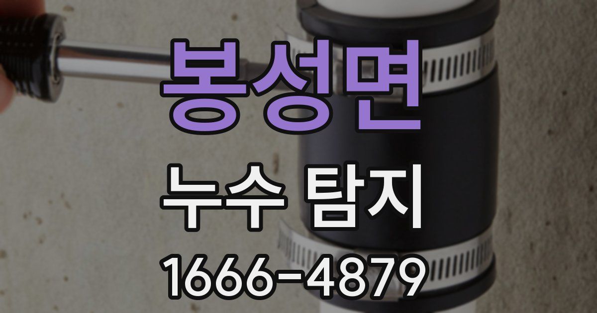 봉성면 누수 탐지