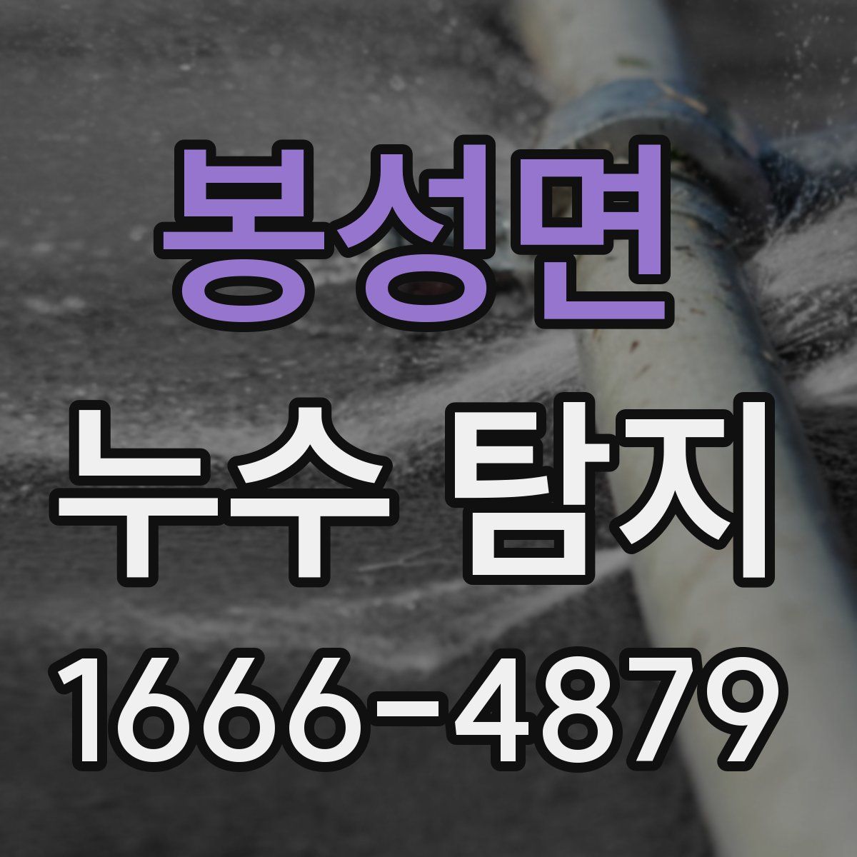 봉성면 누수 탐지