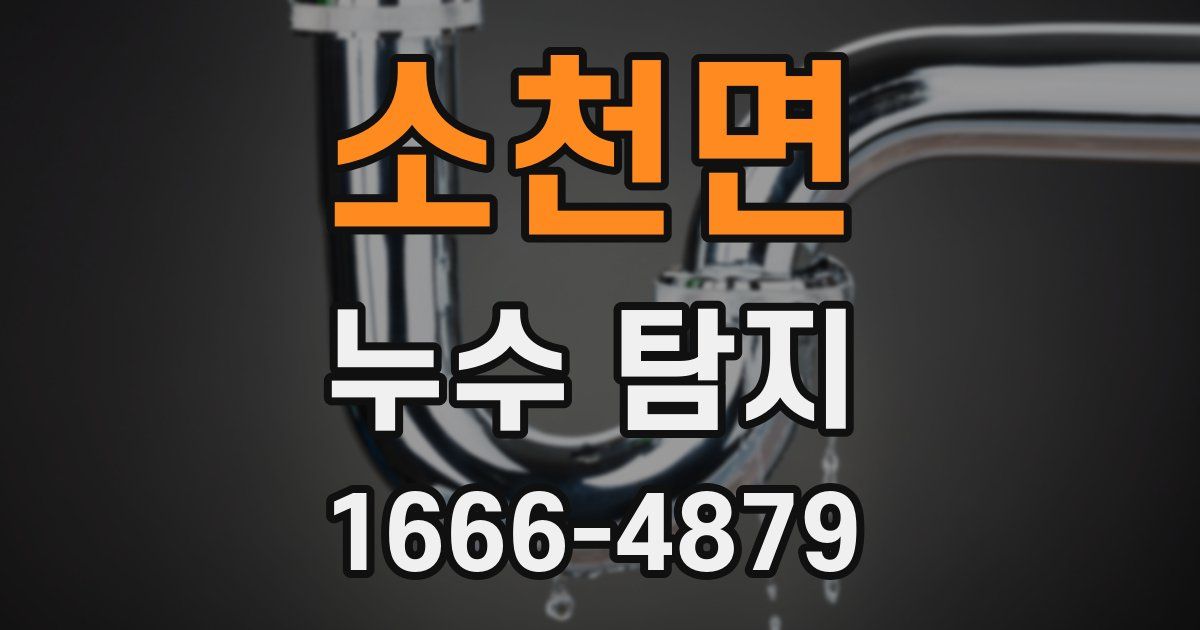 소천면 누수 탐지