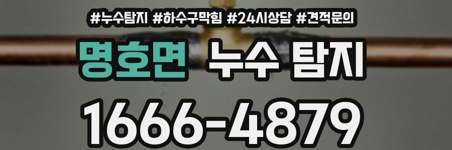 명호면 누수 탐지