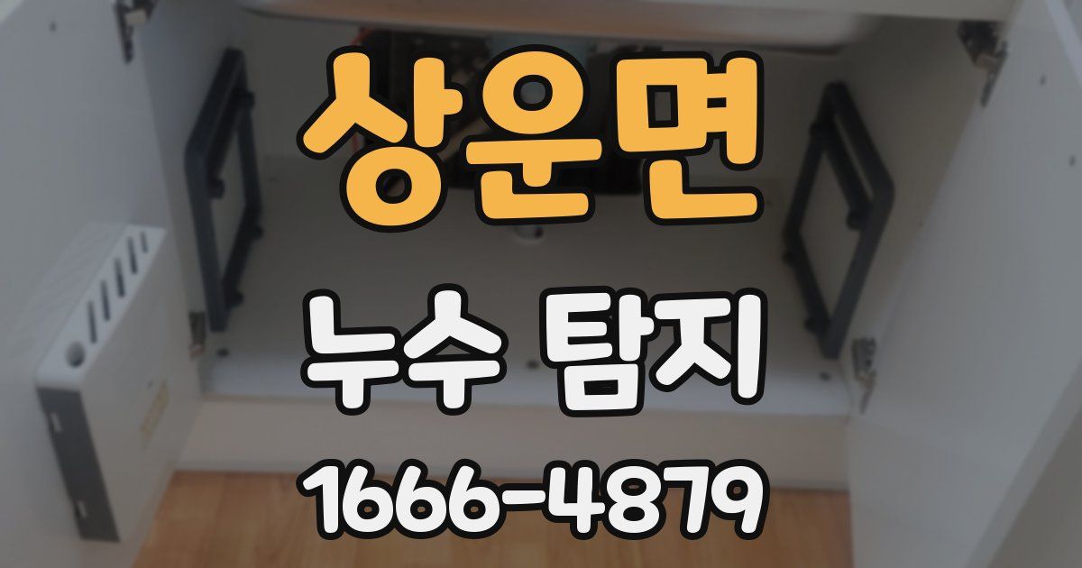 상운면 누수 탐지