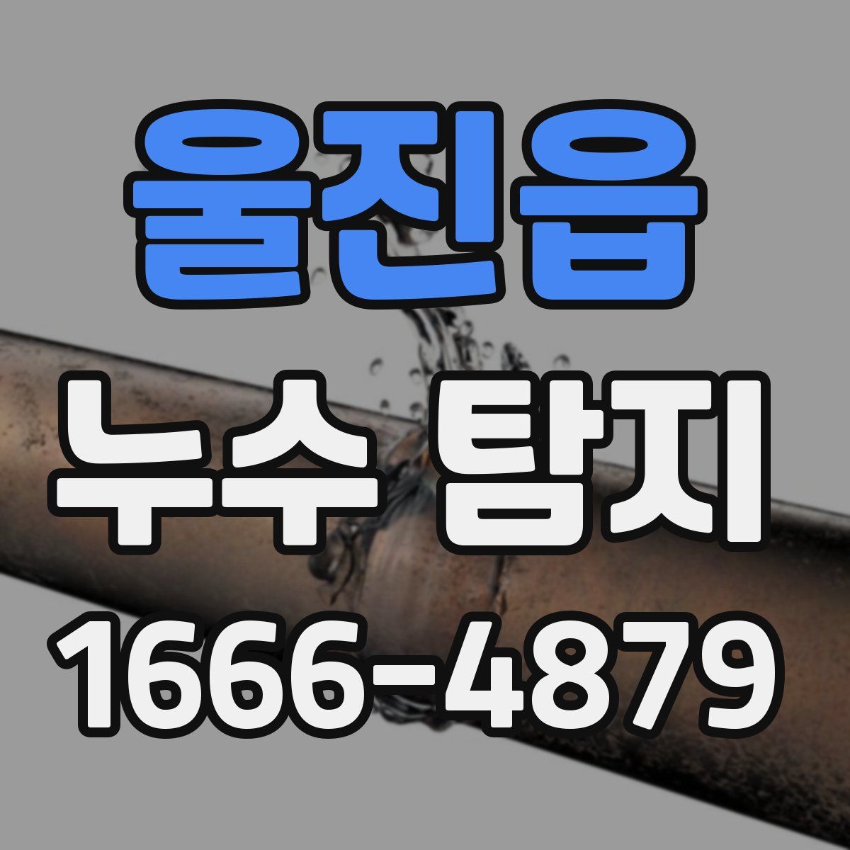 울진읍 누수 탐지