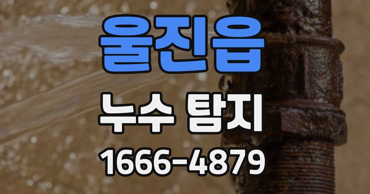 울진읍 누수 탐지