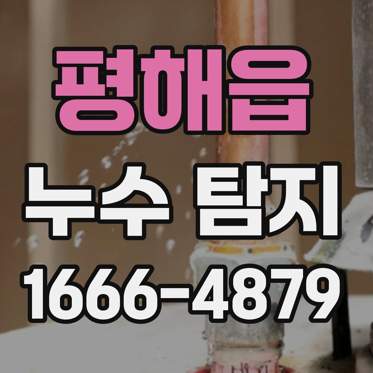 평해읍 누수 탐지