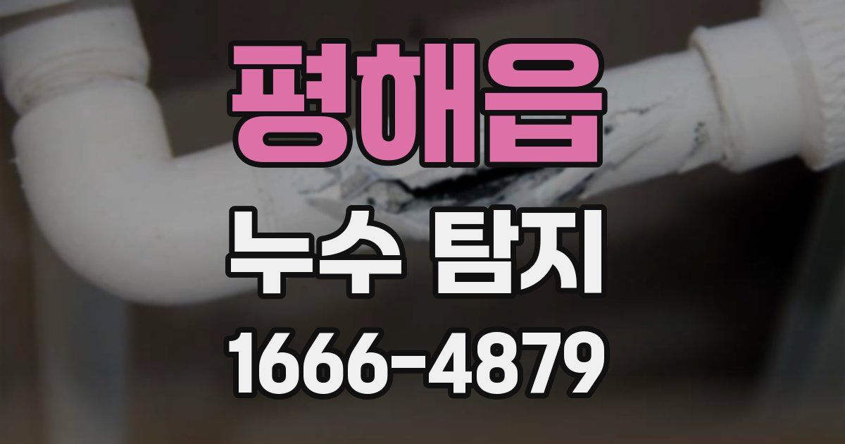 평해읍 누수 탐지