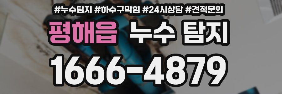 평해읍 누수 탐지
