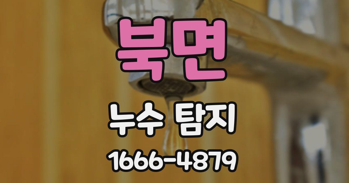 북면 누수 탐지