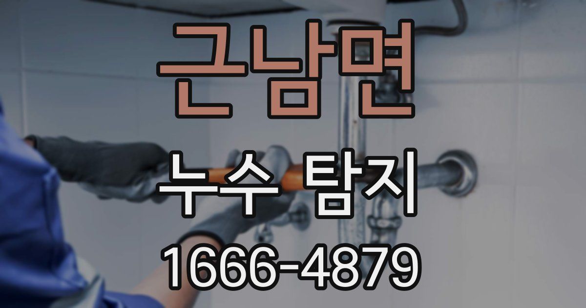 근남면 누수 탐지