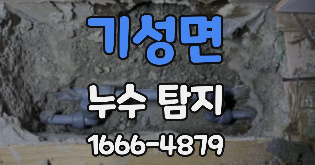 기성면 누수 탐지