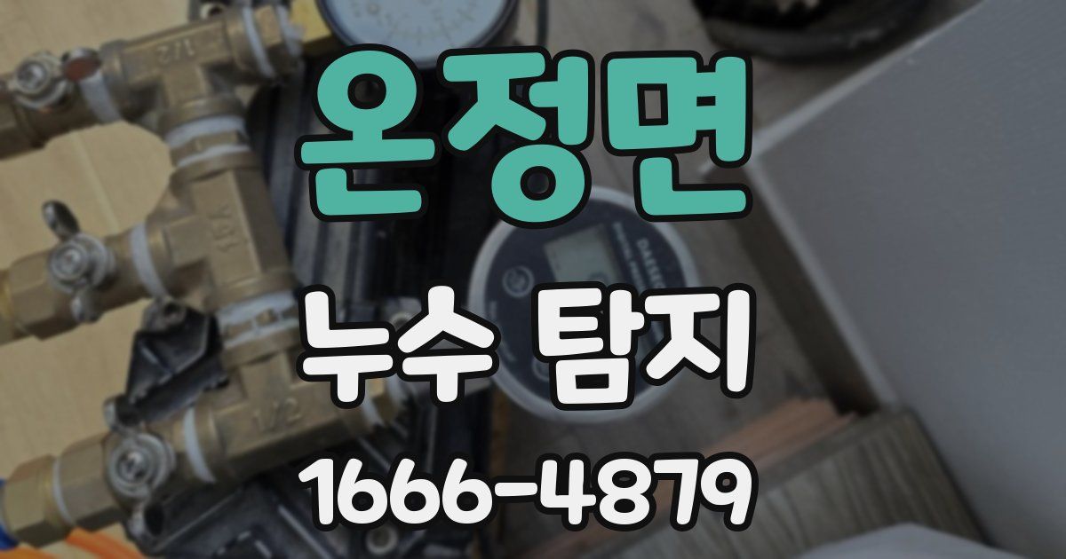 온정면 누수 탐지