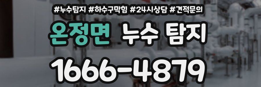 온정면 누수 탐지