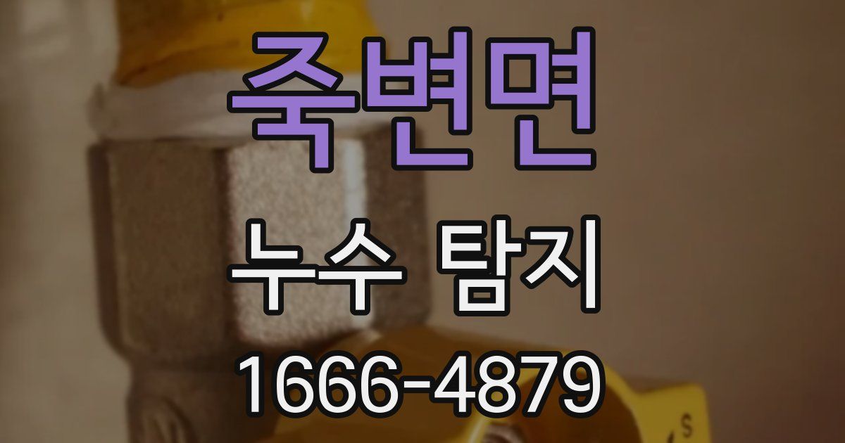 죽변면 누수 탐지