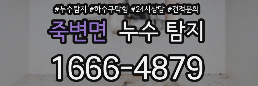 죽변면 누수 탐지