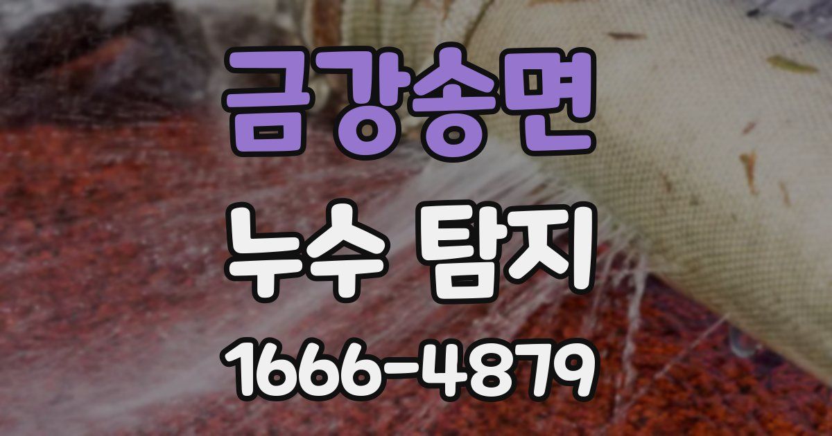 금강송면 누수 탐지