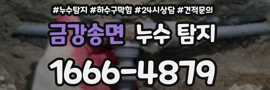 금강송면 누수 탐지