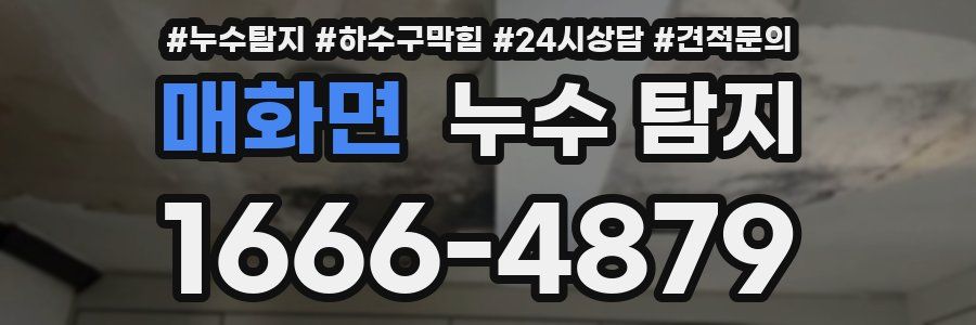 매화면 누수 탐지