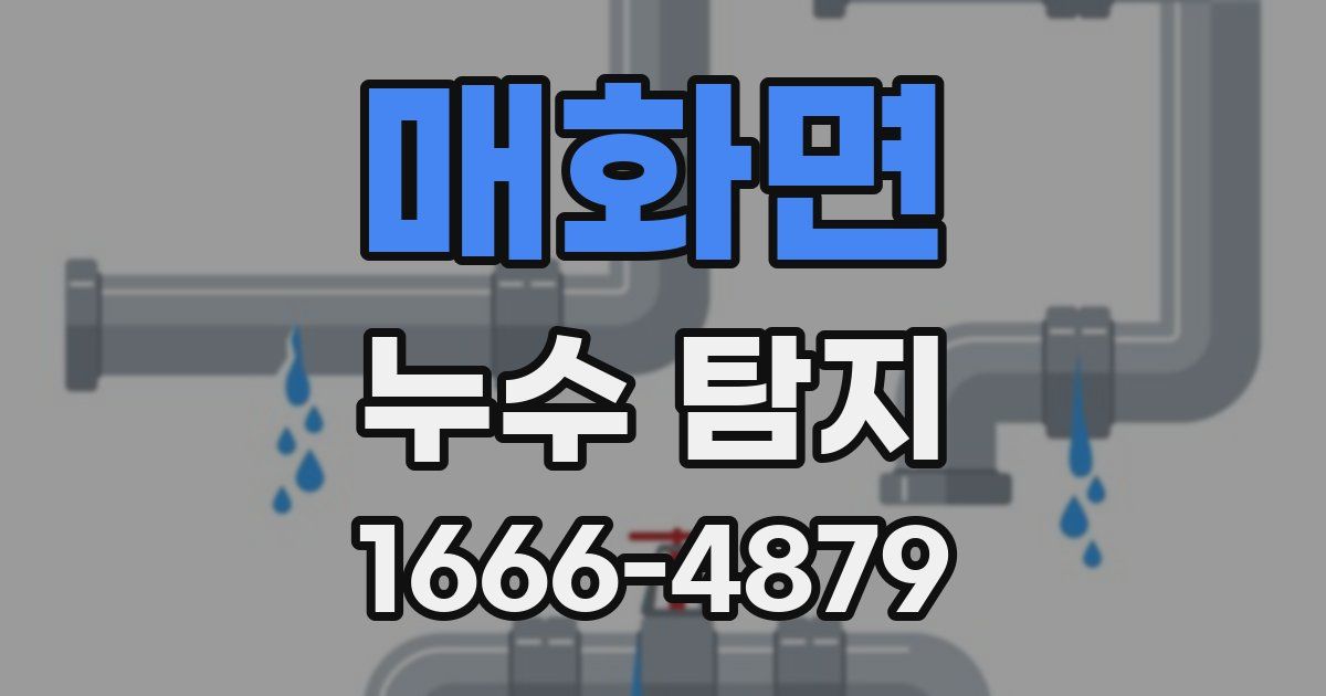 매화면 누수 탐지