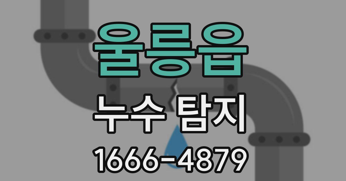 울릉읍 누수 탐지